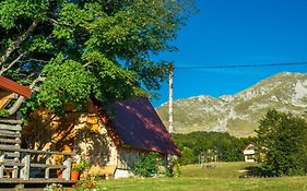 Maple village